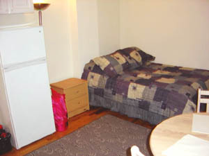 New York Studiowohnung wohnungsvermietung - wohnzimmer (NY-11049) photo 2 von 2
