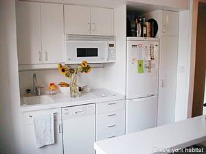 New York T2 appartements location vacances - cuisine (NY-11101) photo 3 de 3