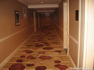 New York Studio/T1 logements location appartements - autre (NY-11136) photo 3 de 3