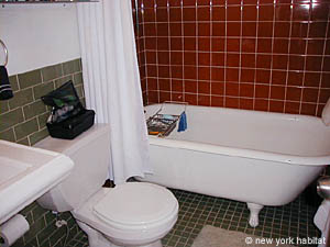 New York 1 Bedroom roommate share apartment - living room (NY-11168) photo 2 of 4