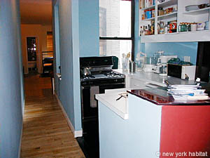 New York 1 Bedroom roommate share apartment - living room (NY-11168) photo 3 of 4