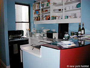 New York 1 Bedroom roommate share apartment - living room (NY-11168) photo 4 of 4