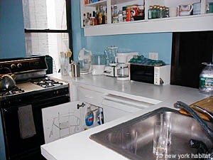 New York 1 Bedroom roommate share apartment - bathroom (NY-11168) photo 2 of 3