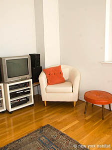 New York 1 Camera - Loft - Duplex appartamento casa vacanze - soggiorno (NY-11198) photo 7 di 12