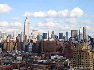 New York 1 Camera - Loft - Duplex appartamento casa vacanze - camera (NY-11198) photo 4 di 6