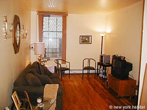 New York 2 Bedrooms roommate share apartment living room photo 12