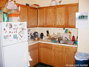 New York 2 Bedrooms roommate share apartment kitchen photo 16