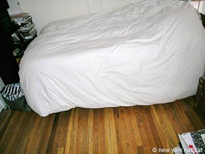New York 2 Bedroom roommate share apartment - bedroom 1 (NY-11243) photo 3 of 11