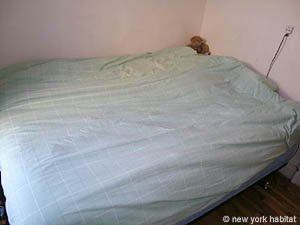 New York 2 Bedroom roommate share apartment - bedroom 2 (NY-11243) photo 4 of 5