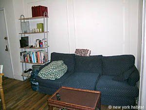 New York 2 Bedroom roommate share apartment - living room (NY-11243) photo 6 of 9