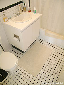 New York 2 Bedrooms accommodation - bathroom 1 (NY-11252) photo 2 of 3