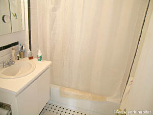 New York 2 Bedrooms accommodation - bathroom 1 (NY-11252) photo 3 of 3