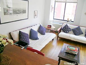 New York 2 Bedrooms accommodation - living room (NY-11252) photo 5 of 11