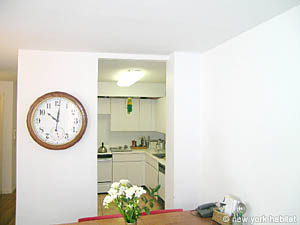 New York 2 Bedrooms accommodation - kitchen (NY-11252) photo 1 of 6