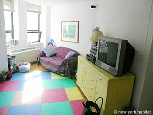 New York 2 Bedrooms accommodation - living room (NY-11252) photo 11 of 11