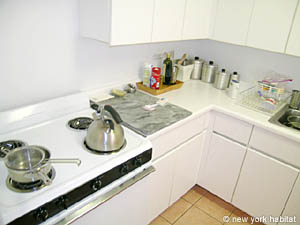 New York 2 Bedrooms accommodation - kitchen (NY-11252) photo 4 of 6