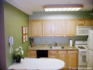 New York T3 logements location appartements - cuisine (NY-11270) photo 3 de 4