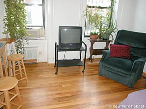 Nueva York Estudio alojamiento - sala (NY-11288) photo 4 de 8