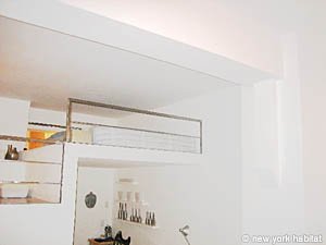 New York Monolocale - Loft appartamento da dividere - soggiorno (NY-11302) photo 3 di 5