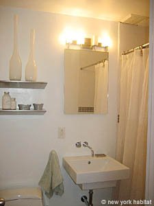 New York Monolocale - Loft appartamento da dividere - bagno (NY-11302) photo 1 di 1
