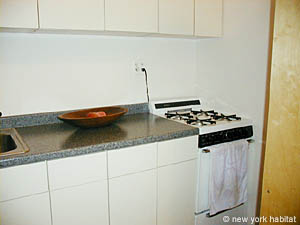 New York 1 Bedroom accommodation - kitchen (NY-11305) photo 2 of 3