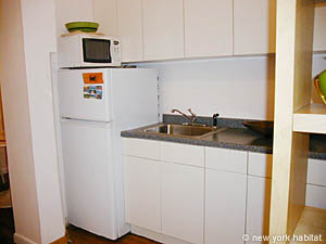 New York 1 Bedroom accommodation - kitchen (NY-11305) photo 3 of 3