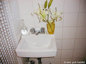 New York 1 Bedroom accommodation - bathroom (NY-11305) photo 3 of 4