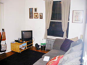 New York 2 Bedroom roommate share apartment - living room (NY-11329) photo 1 of 5