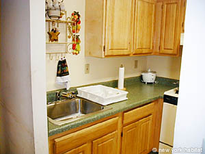 New York 2 Bedroom roommate share apartment - kitchen (NY-11360) photo 1 of 3