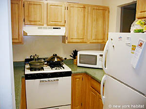 New York 2 Bedroom roommate share apartment - kitchen (NY-11360) photo 2 of 3