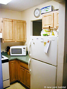 New York 2 Bedroom roommate share apartment - kitchen (NY-11360) photo 3 of 3