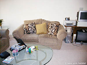 New York 2 Bedroom roommate share apartment - living room (NY-11360) photo 4 of 5