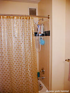 New York 2 Bedroom roommate share apartment - bathroom 1 (NY-11360) photo 2 of 3