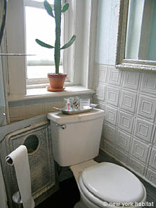 New York 1 Camera appartamento casa vacanze - bagno (NY-11471) photo 1 di 5