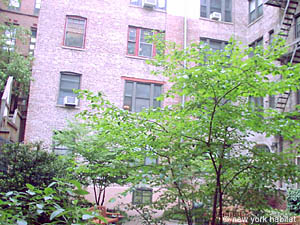 Nueva York 2 Dormitorios piso para compartir otras photo 1