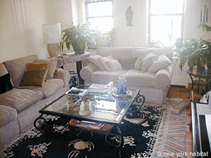 New York 4 Zimmer wohngemeinschaft - wohnzimmer 1 (NY-11583) photo 4 von 11