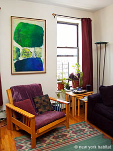 New York 2 Zimmer - Stadthaus ferienwohnung - wohnzimmer (NY-11603) photo 4 von 4
