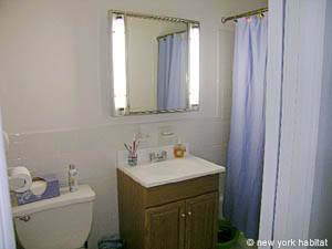 New York 1 Camera appartamento da dividere - bagno (NY-11629) photo 3 di 3
