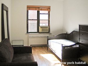 New York Studio apartment - living room (NY-11646) photo 6 of 6