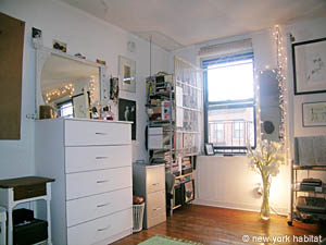 New York Studio/T1 appartements location vacances - cuisine (NY-11689) photo 1 de 2