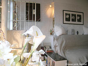 New York Studio/T1 appartements location vacances - cuisine (NY-11689) photo 2 de 2
