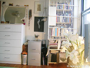 New York Studio/T1 appartements location vacances - salle d'eau (NY-11689) photo 2 de 3