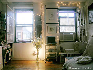 New York Studio/T1 appartements location vacances - salle d'eau (NY-11689) photo 1 de 3