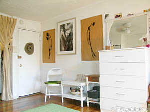 New York Studio/T1 appartements location vacances - autre (NY-11689) photo 2 de 3