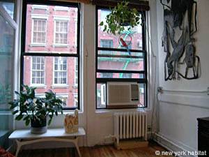 New York Monolocale appartamento - soggiorno (NY-11726) photo 4 di 5
