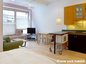 New York Studio - Loft apartment - living room (NY-11732) photo 2 of 5