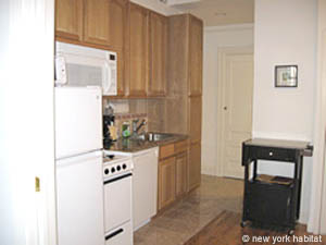 New York 2 Bedroom apartment - kitchen (NY-11733) photo 1 of 1