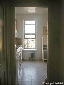 New York 1 Bedroom apartment - kitchen (NY-11734) photo 4 of 4