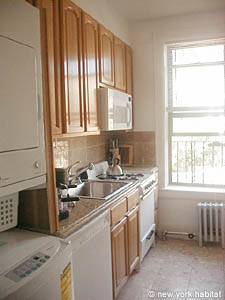 New York 1 Bedroom apartment - kitchen (NY-11734) photo 2 of 4