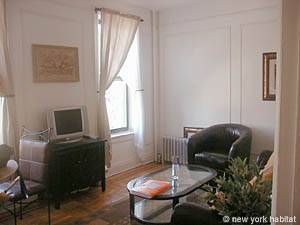 New York 1 Bedroom apartment - living room (NY-11734) photo 1 of 6